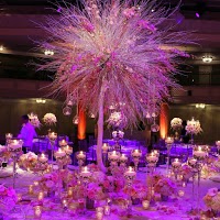 Jay and I Events 1086253 Image 0
